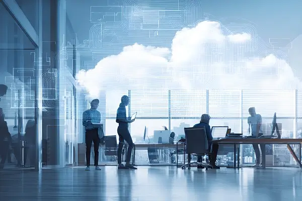 羊键子是羊的哪个部位