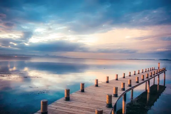 虫草花与金针菇哪个好