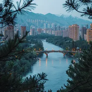 黄金玉米粉哪个质量好