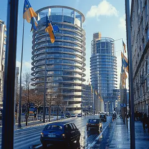 鱼和排骨哪个蛋白质高