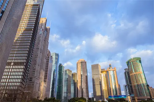 简子骨和猪扇骨哪个好