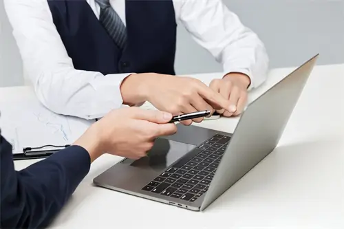 电压力煲焖鱼用哪个档