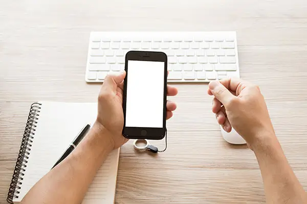 柠檬和哪个水果一起吃