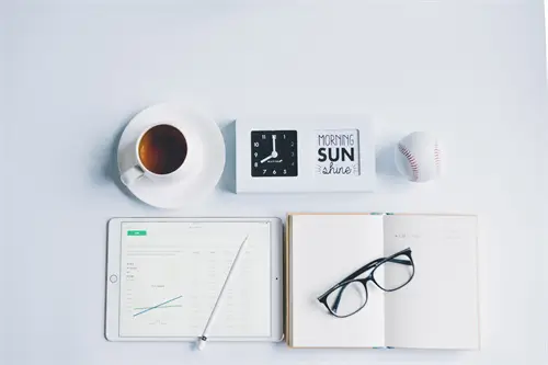 菠萝蜜和南瓜比哪个大