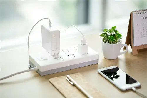 西芹和芹菜减肥哪个好